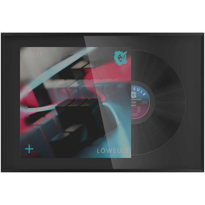 Glorious Record Display Frame
